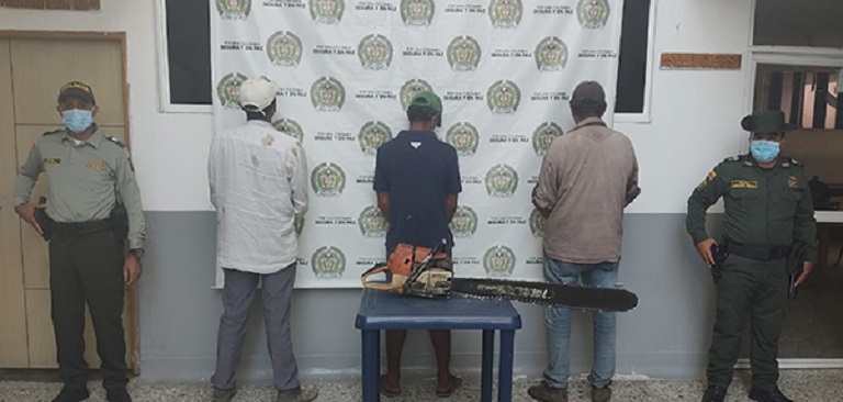 No hay delito menor: estos ciudadanos fueron capturados por talar árboles