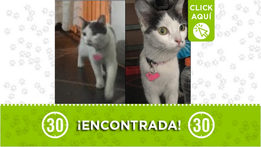 Gatica encontrada en Buenos Aires-Miraflores