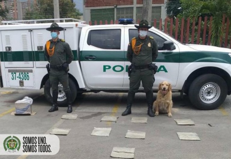 ¡Qué encomienda! Por empresa de mensajería de Medellín pretendían enviar 9 paquetes de marihuana