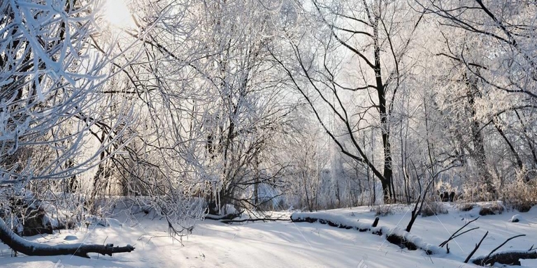 ¡Desalmada! Mujer desnudó a sus hijos para que murieran en la nieve porque no quería “vivir en pecado”