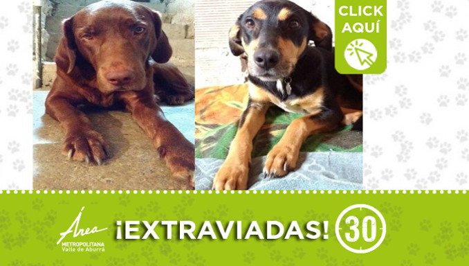 ¿Las ha visto? "Hanna" y "Yaina" se extraviaron en Itagüí