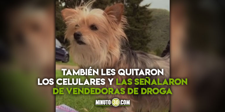 ¡Qué rabia! Hombres que se hicieron pasar por policías le robaron la perrita a dos niñas en Bogotá 1 Falsos policías robaron perrita en Bogotá