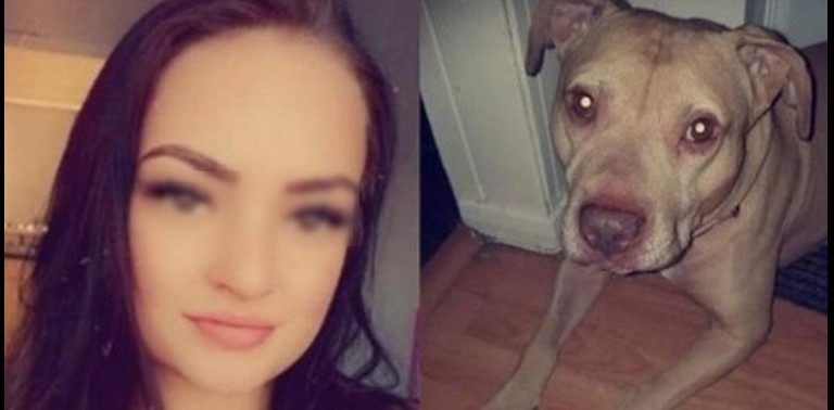 Perro que atacó a una joven mientras dormía será sacrificado por las autoridades