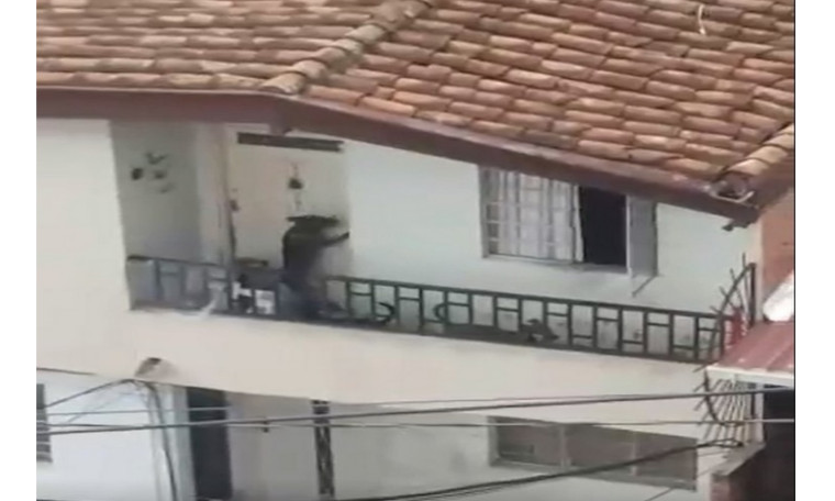 Video: Denuncian que cuatro perritos están encerrados hace tres días en un balcón de una vivienda en Medellín