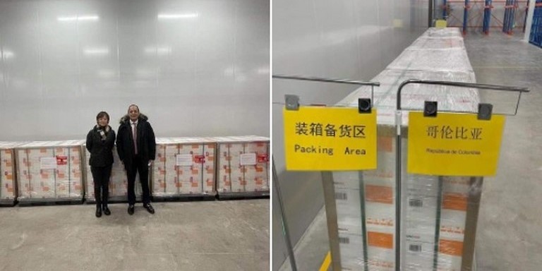 Duque anunció que este fin de semana llegarán 192 mil dosis de Sinovac