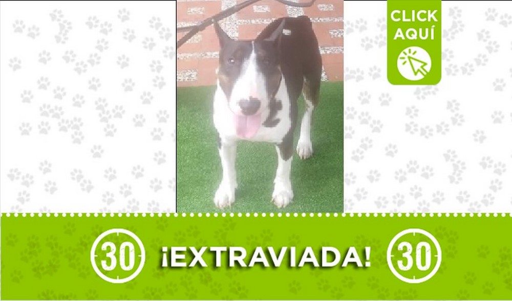 Juanita perdida Juanita perdida