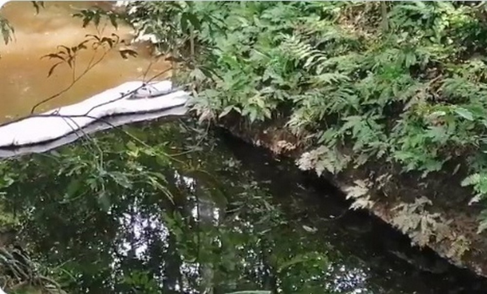 FOTOS Y VIDEO. Reportan nuevo derrame de petróleo en la quebrada La Lizama, Santander 1 derrame de petroleo