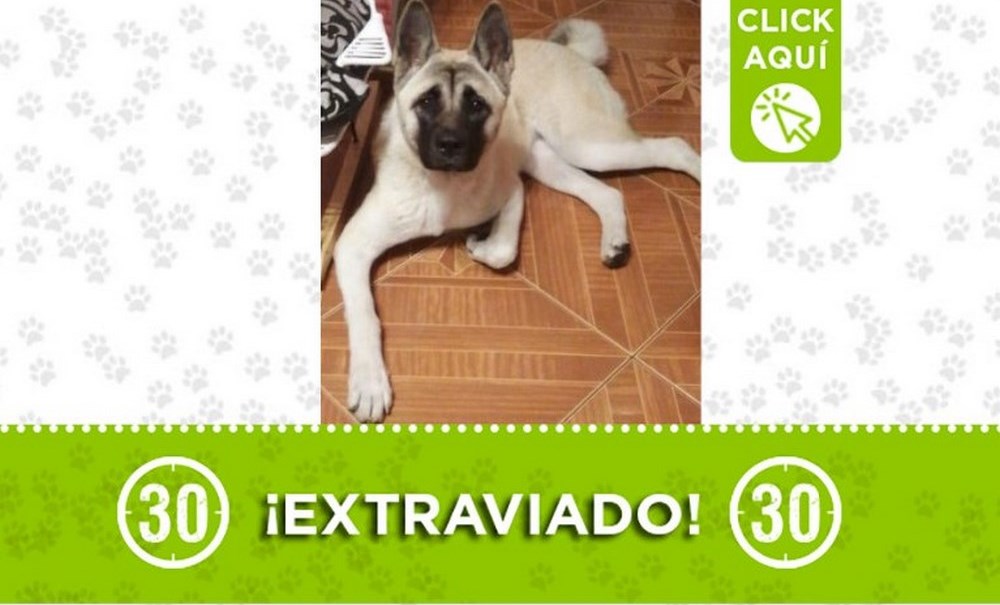 "Nomhi" se perdió en Manrique Central 1 Nomhi central