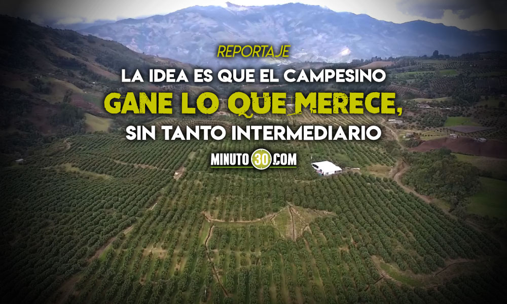¡Genial! Antioquia firmó convenio con las Naciones Unidas para fortalecer el agro del departamento 1 Antioquia