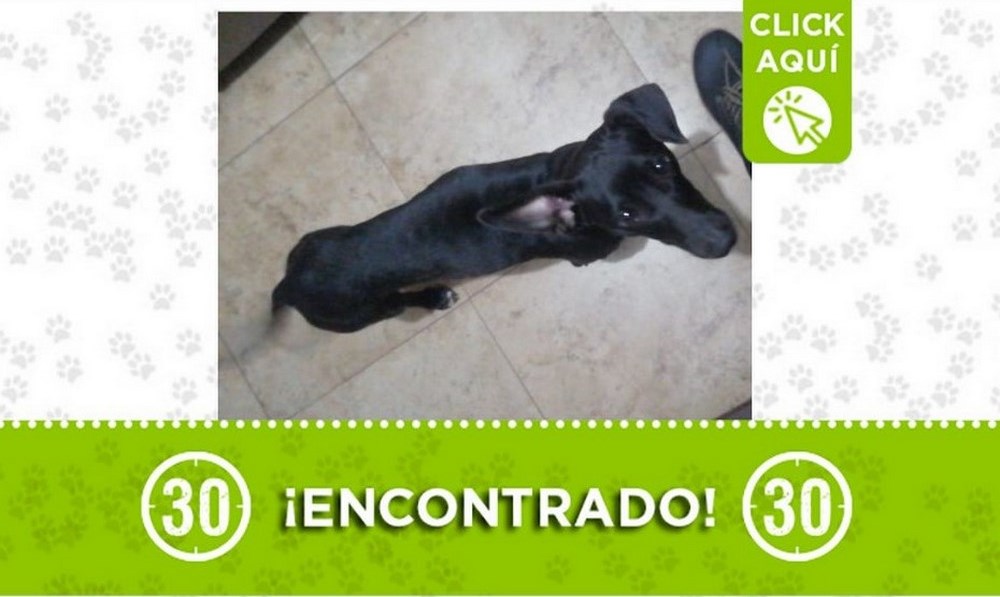 encontrado-boston