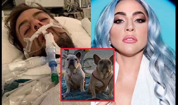 ¡Qué buena! Lady Gaga se hará cargo de los gastos médicos del paseador de sus perros tras ser tiroteado