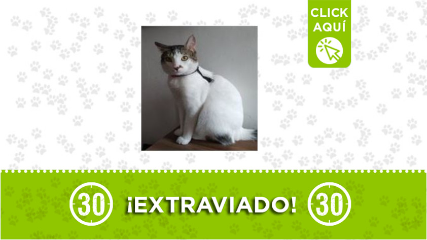 'Paco' se perdió por Manrique Oriental 1 Paco