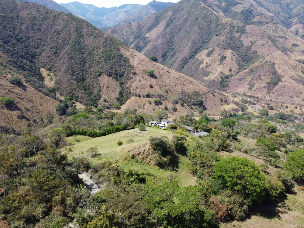 50 hectáreas de tierra serán entregadas a excombatientes en Ituango, dicen que sembrarán café 6 Finca Las Mercedes 15