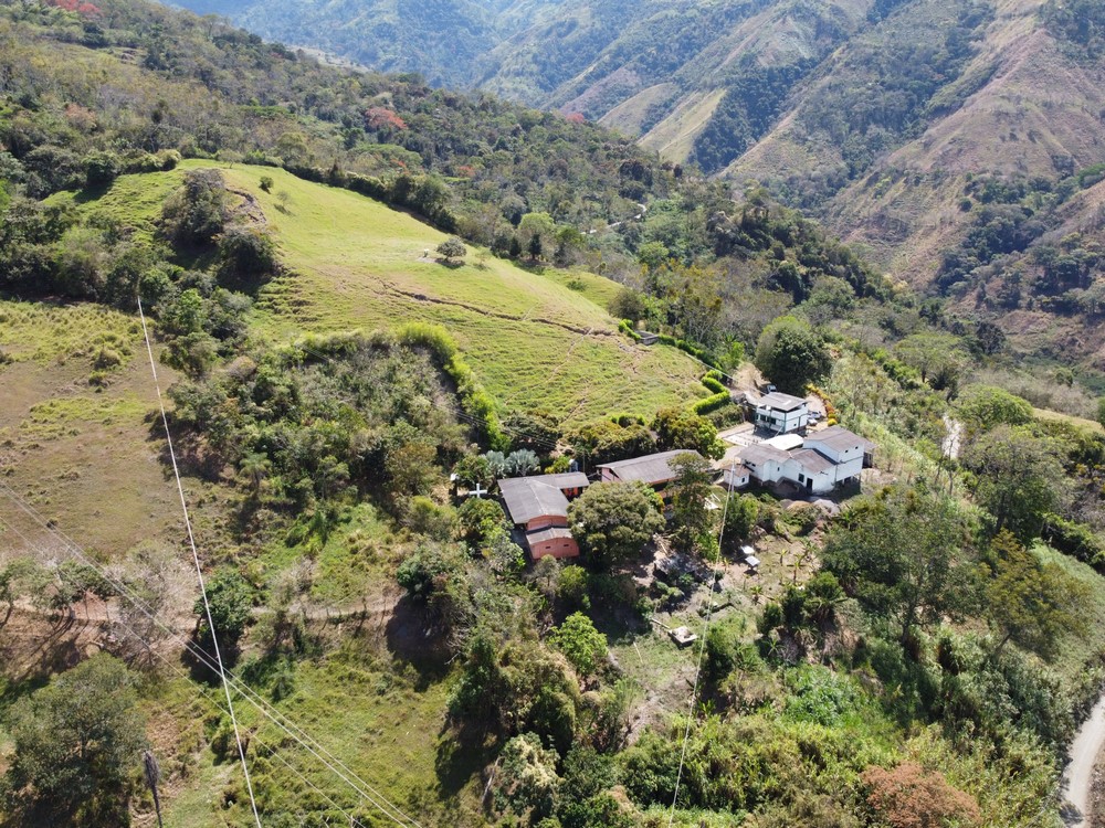 50 hectáreas de tierra serán entregadas a excombatientes en Ituango, dicen que sembrarán café 5 Finca Las Mercedes 11