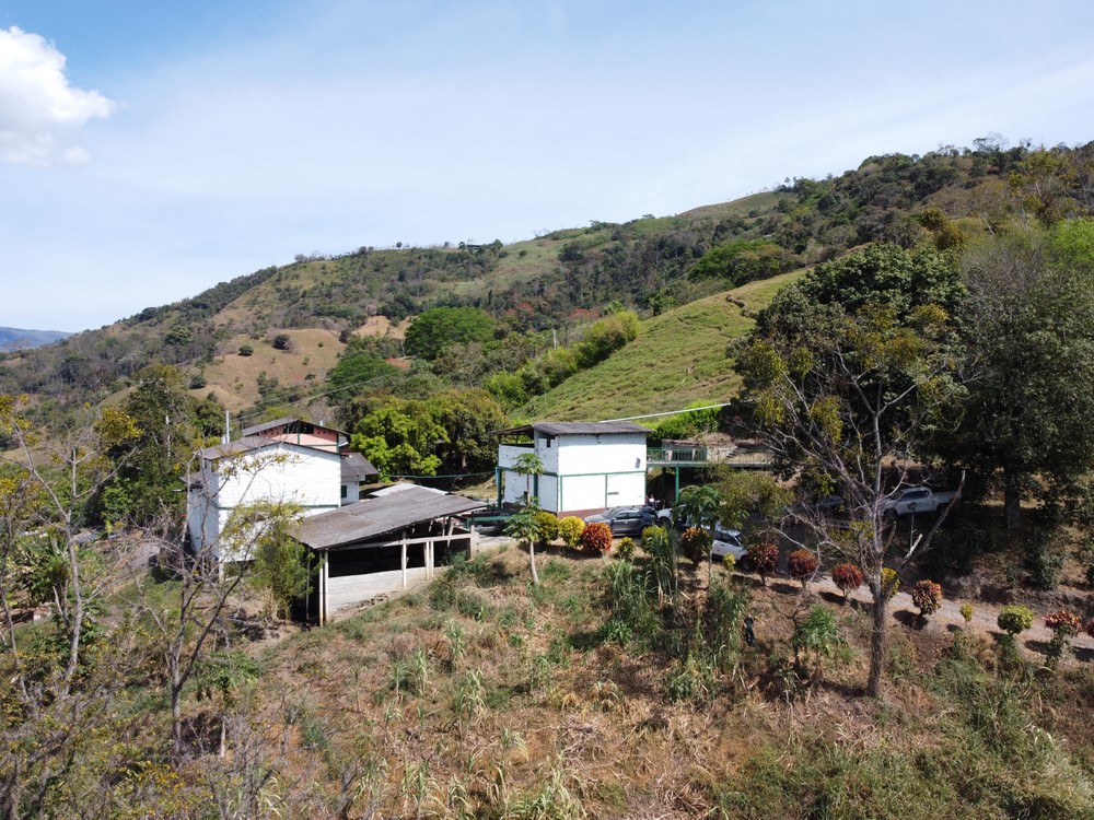 50 hectáreas de tierra serán entregadas a excombatientes en Ituango, dicen que sembrarán café 4 Finca Las Mercedes 7