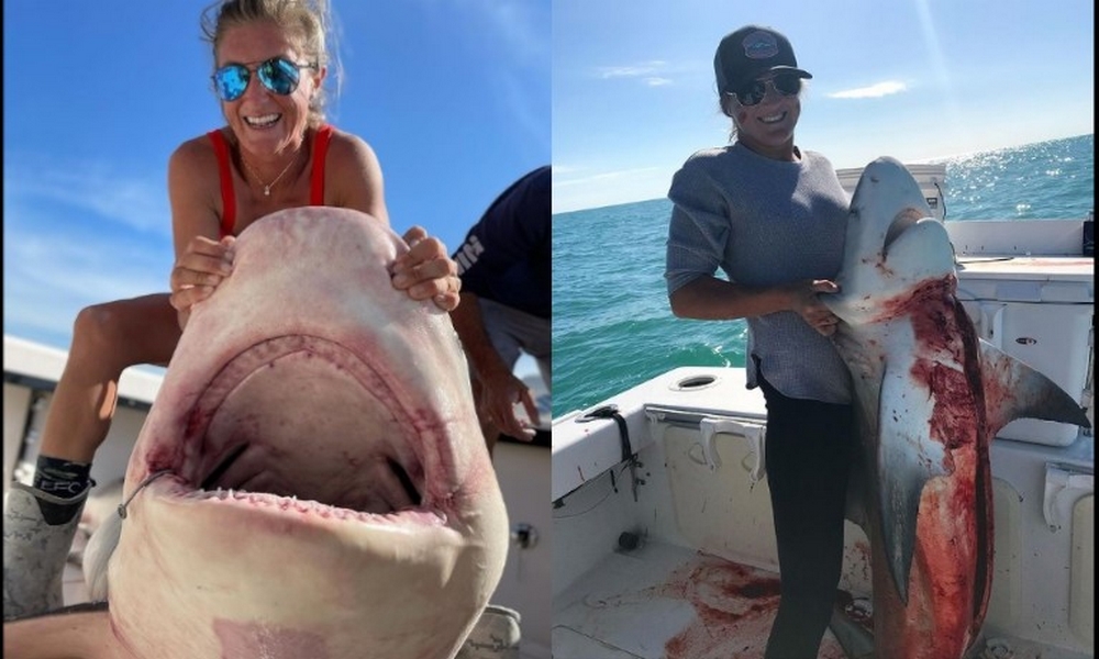 VIDEO: ¡Indignante! mujer caza tiburones por deporte y los exhibe con orgullo en sus redes 1 mujer-tiburones