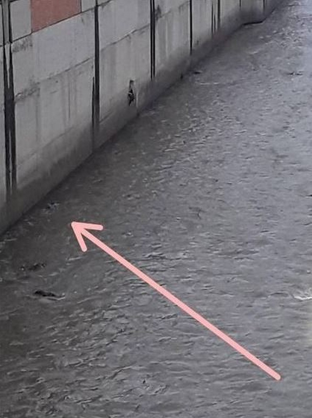 FOTOS Y VIDEOS: ¿Qué le pasó? Al parecer, un adulto mayor se tiró al río Medellín 2 rio1