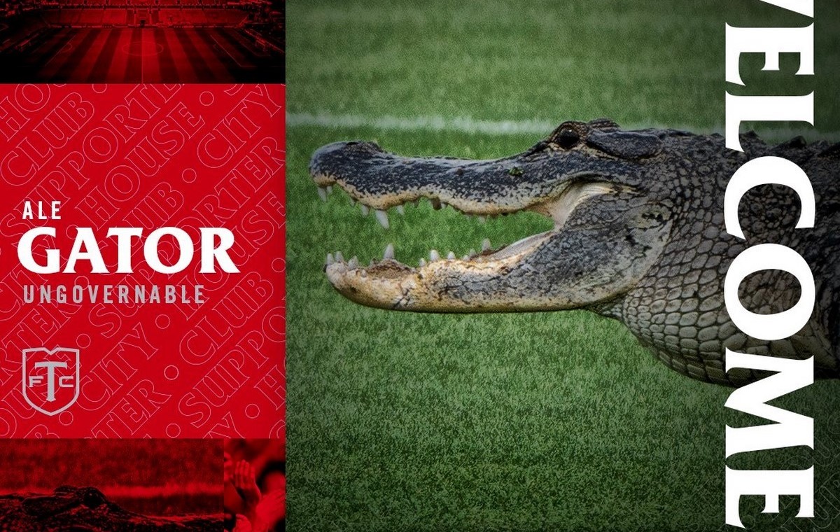 Video: Cocodrilo interrumpió la práctica del Toronto FC 1 Cocodrilo interrumpio la practica del Toronto FC Copiar