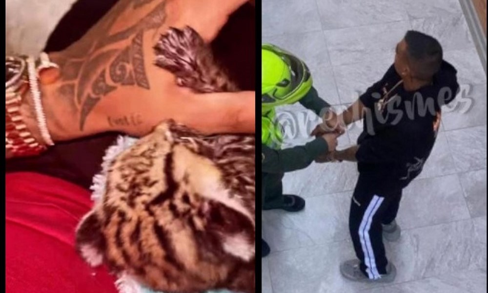 FOTOS: Dj Exotic habría presumido un tigrillo lanudo y aseguraba que era un gato ‘savannah’