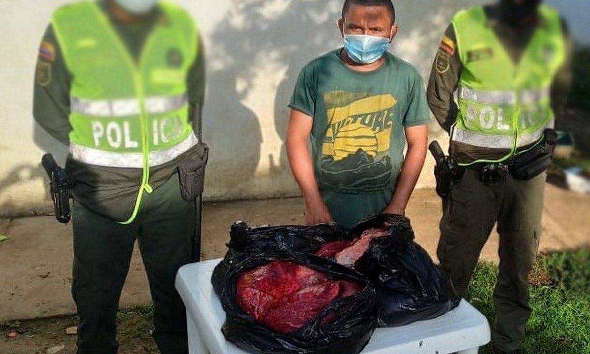 FOTOS. Lo cogieron cuando pelaba una vaca robada en Magdalena 5 Hombre capturado cuando pelaba una vaca robada en Concordia 15 04 2021