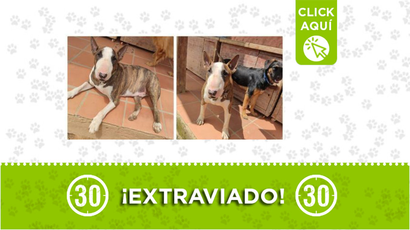 Tony-cerro las 3 cruces