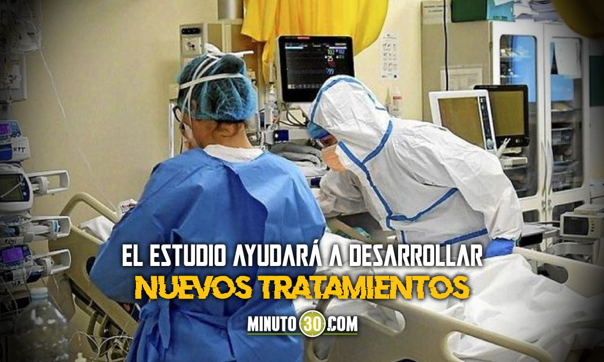¡Tremendo avance! Descubren proteína que sería la que propaga el covid-19 1 covid-19