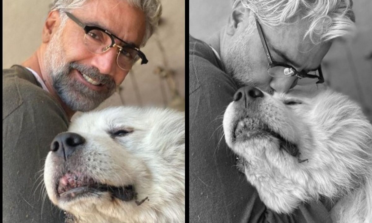 FOTOS. ¡Está de luto! Alejandro Fernández despidió a su perrita tras 15 años de estar con él 1 alejandro fernandez murio perrita