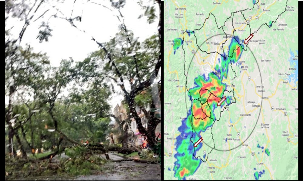 Cinco árboles se cayeron en Medellín durante las fuertes lluvias de esta tarde