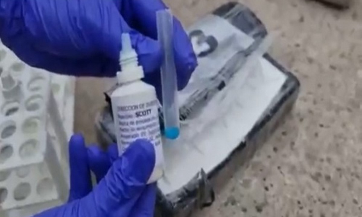 En un buque en Cartagena hallaron 66 kilos de cocaína almacenada al interior de un “parásito” 1 cartagena cocaina