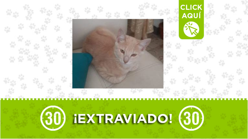 Dalton-barrio Castilla