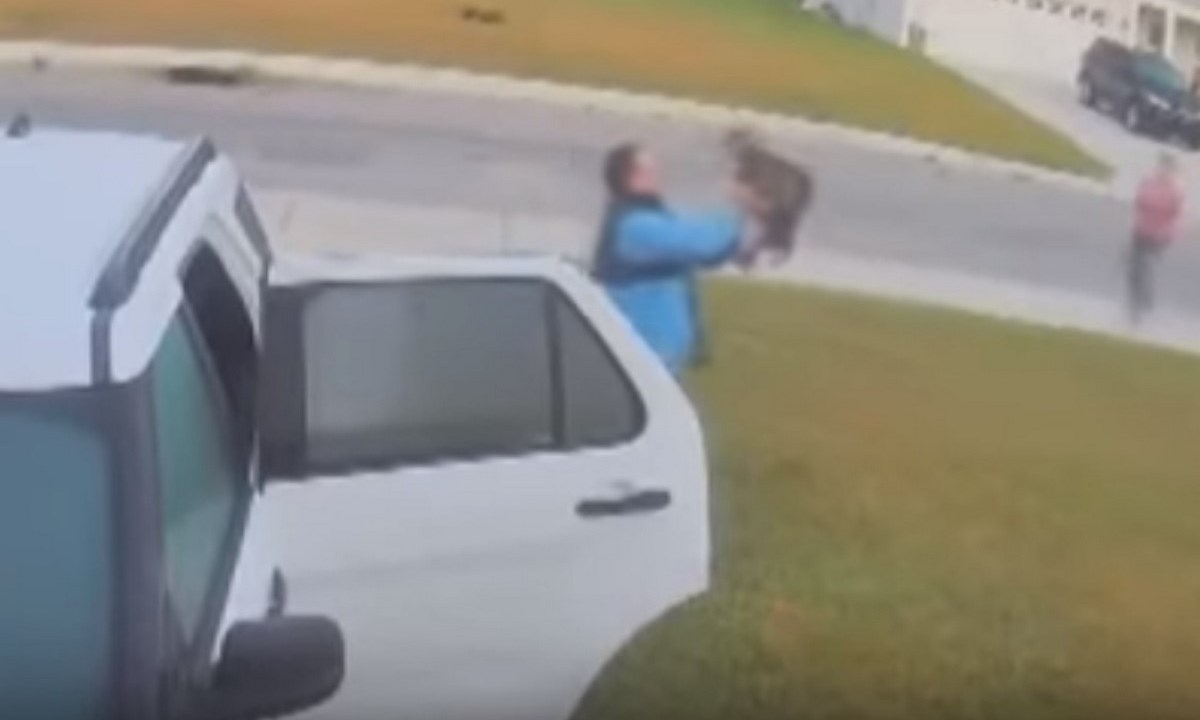 ¡Aterrador momento! VIDEO en el que una pareja fue atacada por un gato montés 1 gato montes ataca pareja