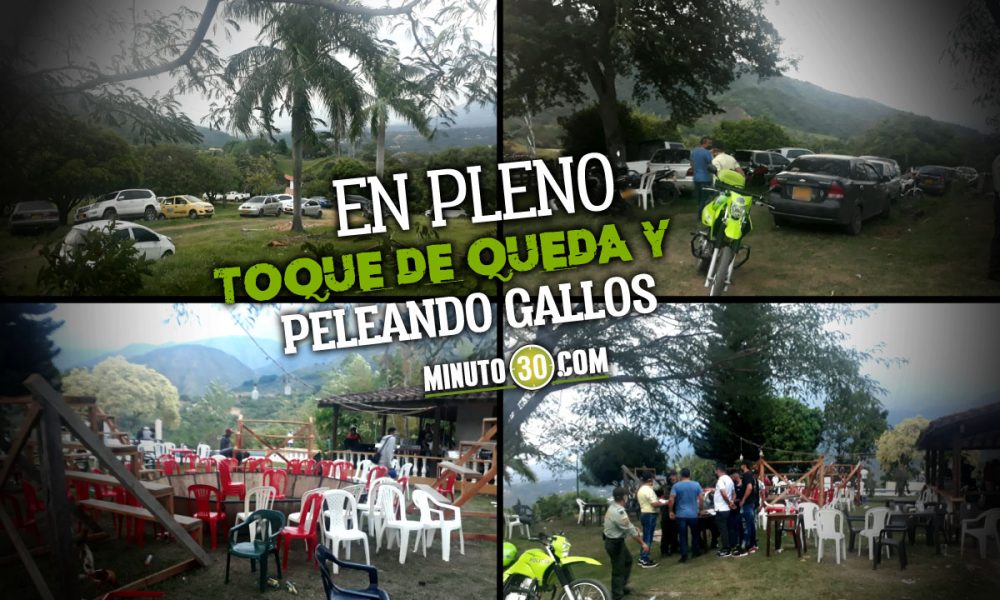 Video: ¡Irresponsables! Tremenda fiesta y hasta con pelea de gallos tenían en San Jeronimo