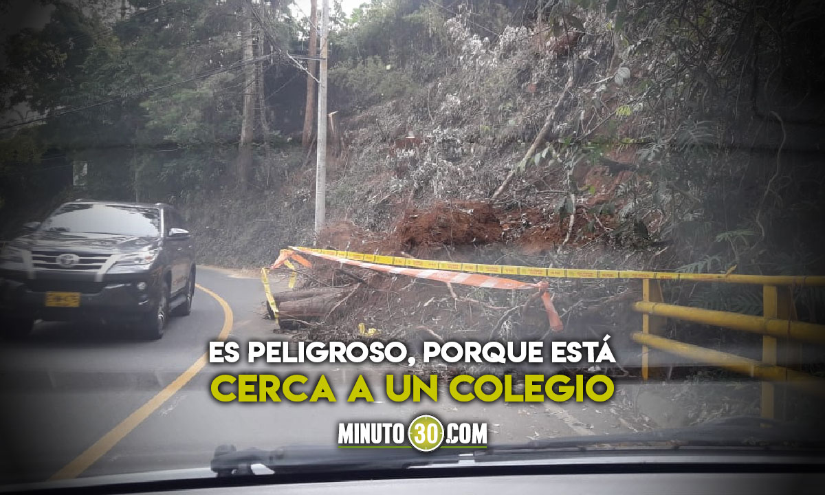 Fotos: En la Cola del Zorro hay unos árboles en la vía, y podría presentarse un accidente 1 En la Cola del Zorro hay unos arboles en la via y podria presentarse un accidente