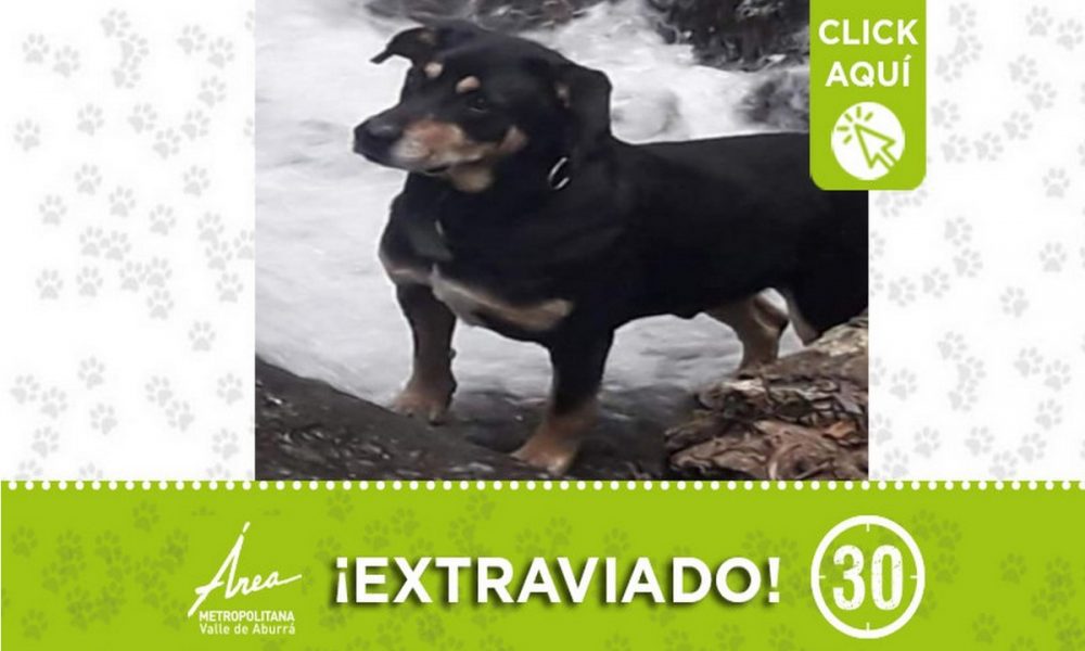 "Mateo" se perdió en Santa Elena