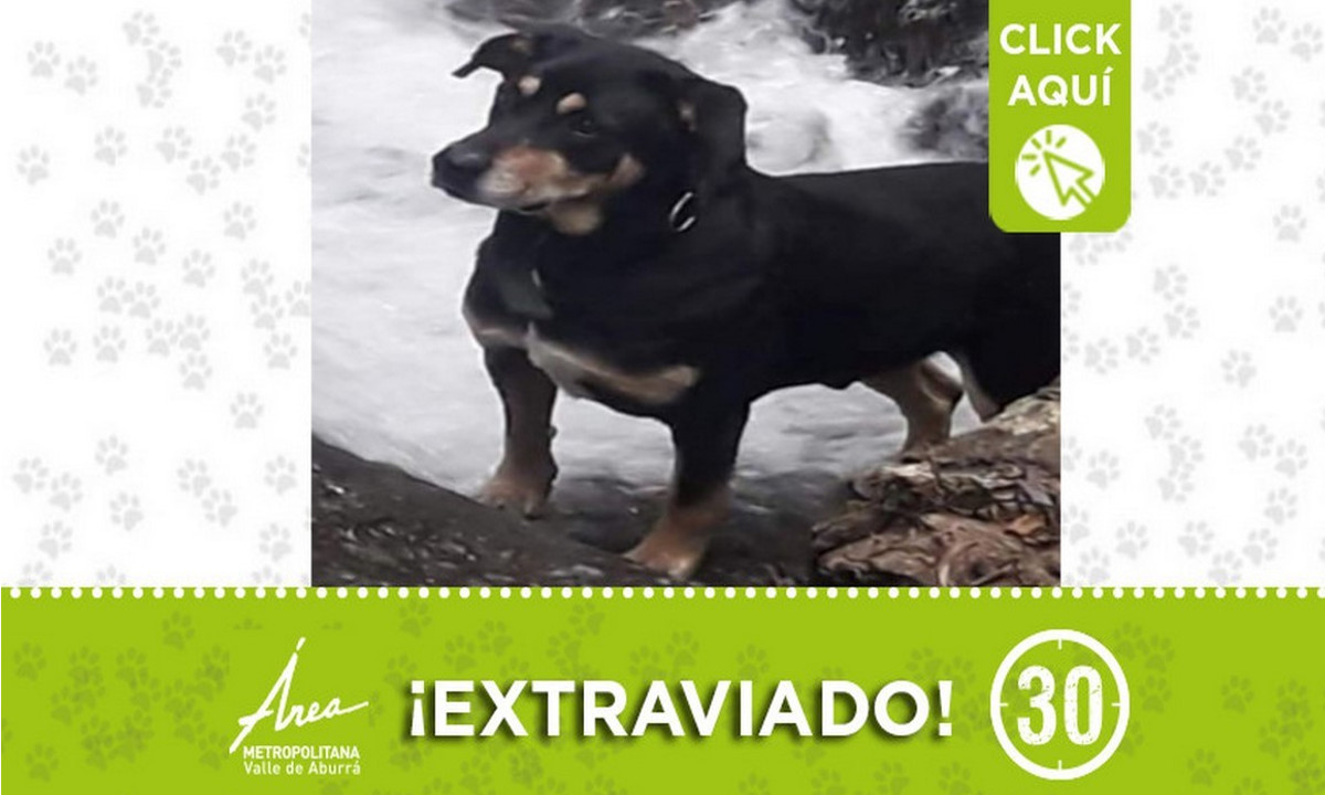 "Mateo" se perdió en Santa Elena 1 "Mateo" se perdió en Santa Elena