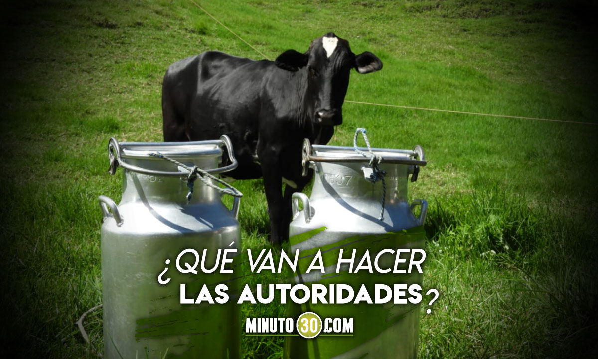 Por bloqueos están en peligro de pérdida más de 2 millones de litros de leche en Antioquia 1 Por bloqueos están en peligro de pérdida más de 2 millones de litros de leche en Antioquia