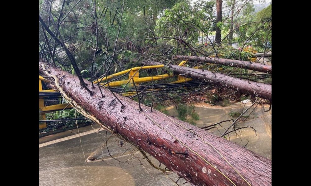 [Videos] En Medellín 30 desplomes de árboles, cinco deslizamientos y 25 inundaciones tras lluvias de esta tarde