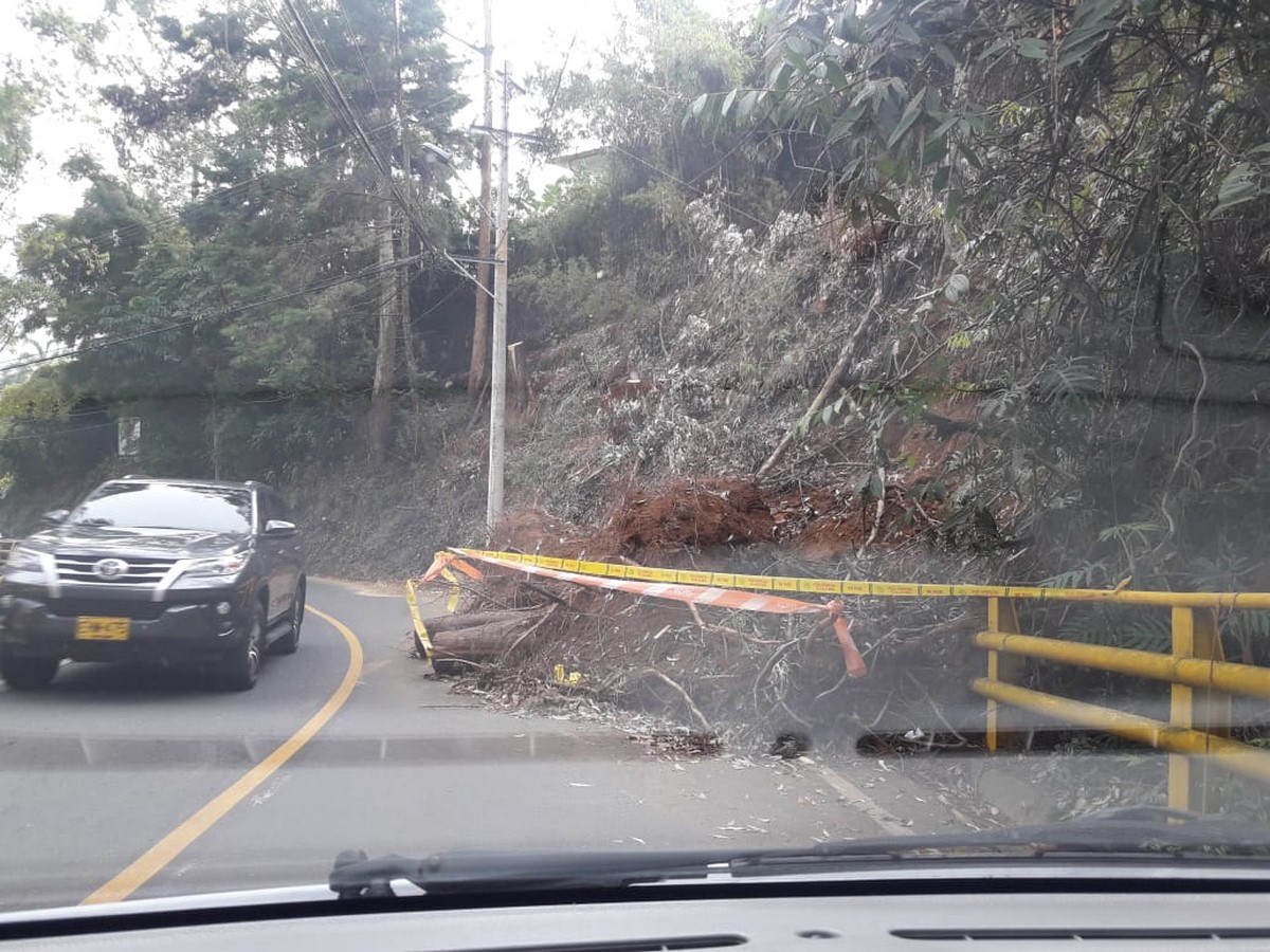 Fotos: En la Cola del Zorro hay unos árboles en la vía, y podría presentarse un accidente 2 arboles zorro 2