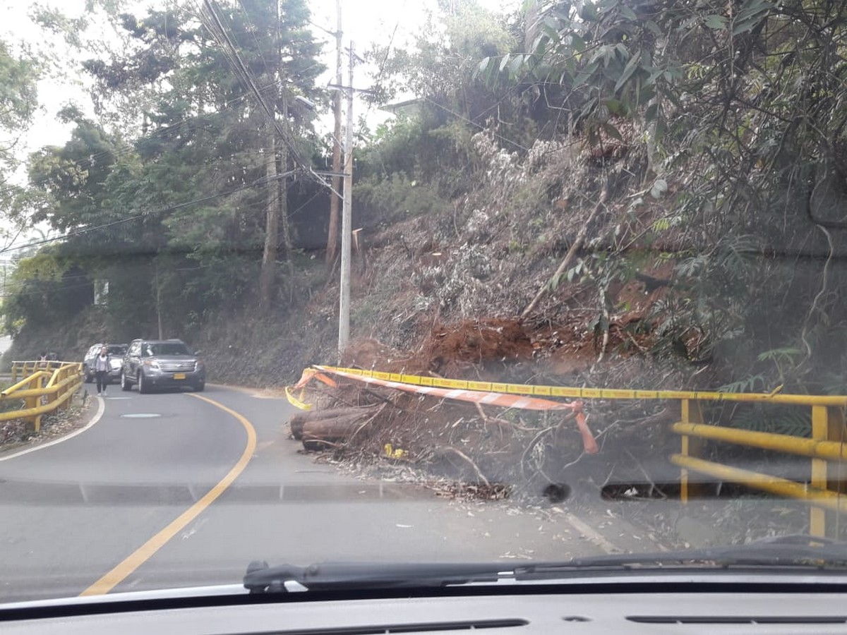 Fotos: En la Cola del Zorro hay unos árboles en la vía, y podría presentarse un accidente 3 arboles zorro