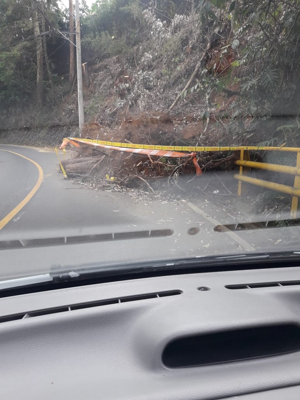 Fotos: En la Cola del Zorro hay unos árboles en la vía, y podría presentarse un accidente 4 arboles zorro1