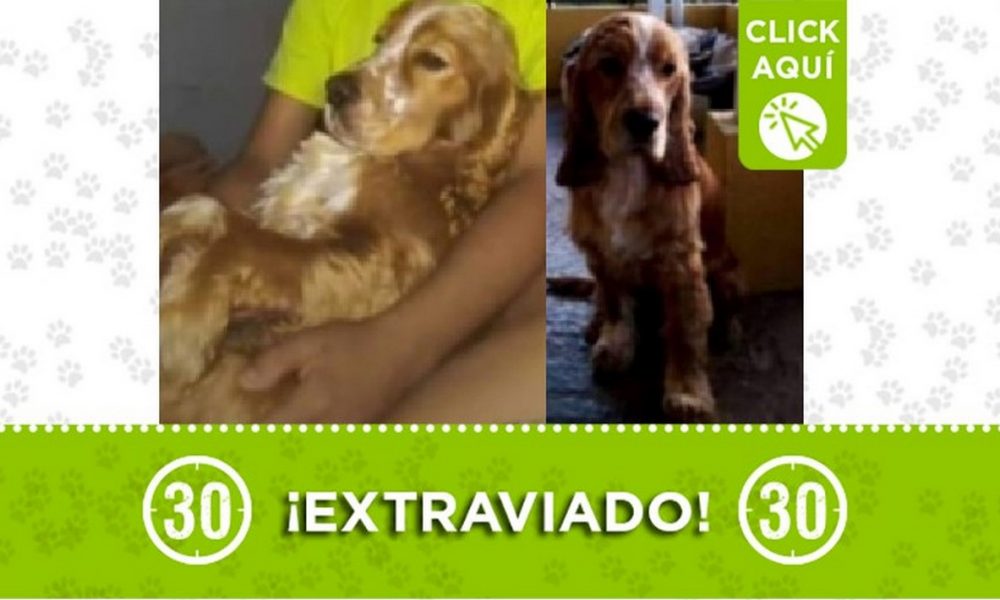 'Mailón' se perdió por Robledo Aures