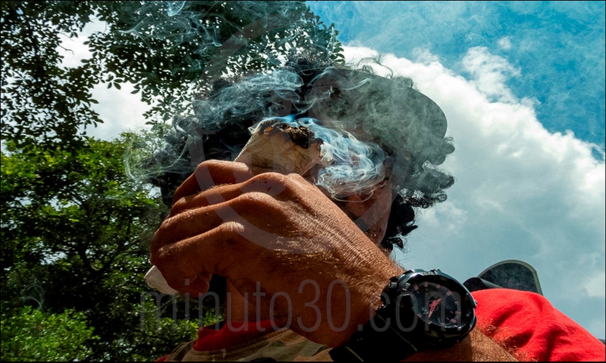FOTOS Y VIDEOS: Así va la 'Marcha Cannabica' en Medellín 1 marcha cannabica 4