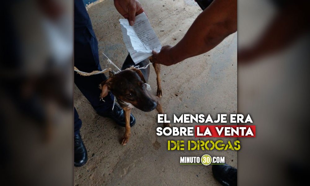 'El Cartero', Pillaron a un perro con mensaje para presos de una cárcel panameña
