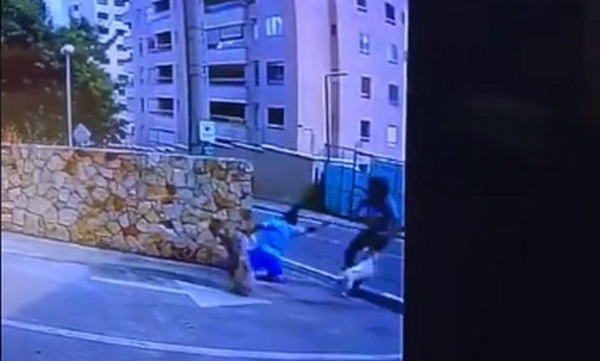 "En Cali uno no puede ni sacar al perro a pasear", la arrastraron por robarle un bulldog 1 mujer perro cali