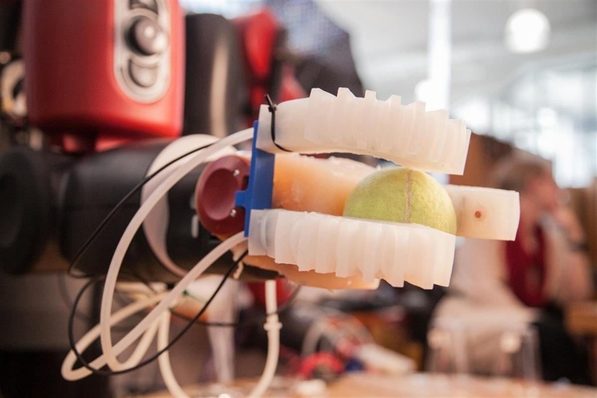 FOTOS: Robótica blanda, solucionar problemas emulando a la naturaleza 2 robot