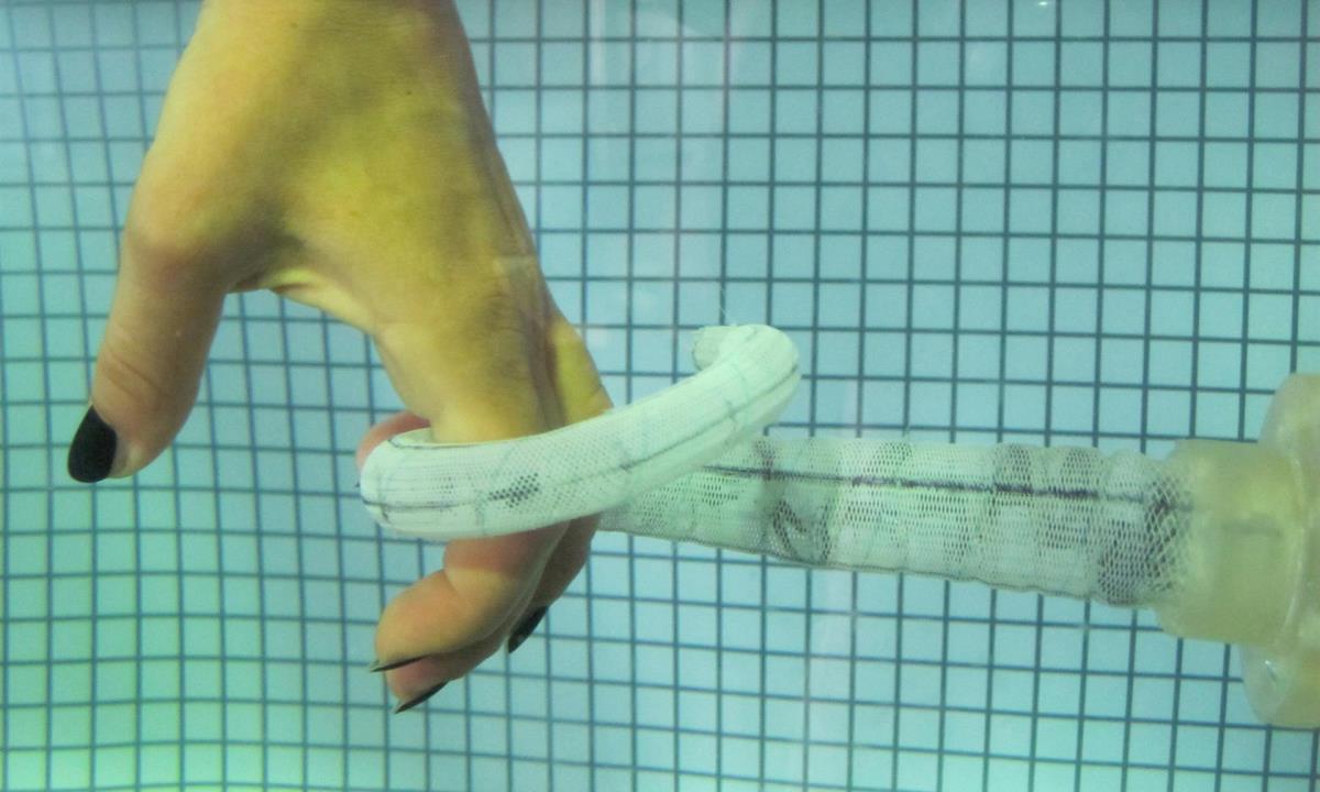 FOTOS: Robótica blanda, solucionar problemas emulando a la naturaleza 1 robot