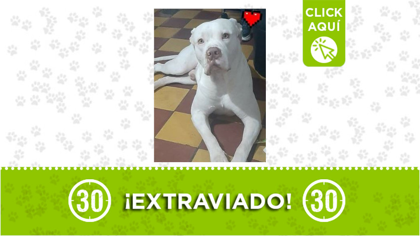¿Ha visto a 'Toreto'? Se perdió en el Popular 1 1 Toreto-Popular 1