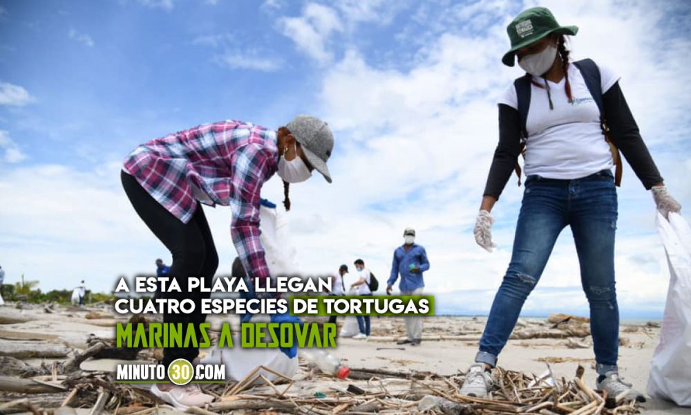 [Fotos] Ambientalistas limpiaron playas de Necoclí, Antioquia