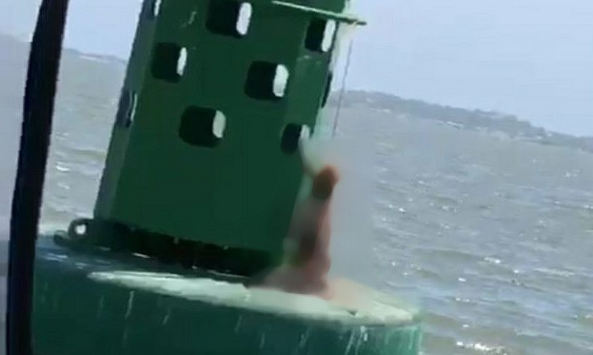 ¡Que rabia! En Cartagena encontraron el cuerpo de un perro amarrado a una boya 1 Cartagena-perro-boya