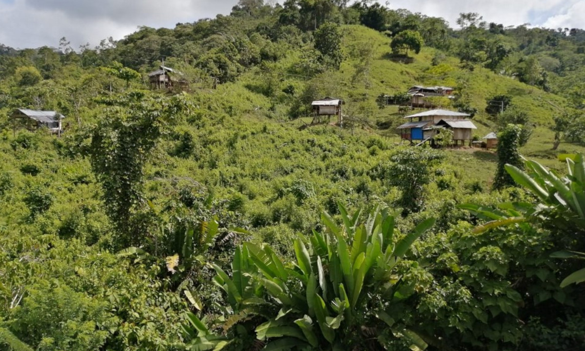 Otro indígena fue víctima de una mina en Antioquia Otro indígena fue víctima de una mina en Antioquia